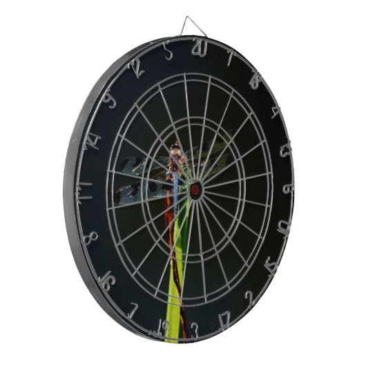 青と黒のトンボが緑と赤の草の上に ダーツボード (正面左)