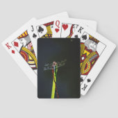 青と黒のトンボが緑と赤の草の上に トランプ (裏面)