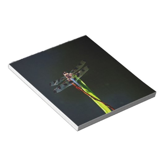 青と黒のトンボが緑と赤の草の上に ノートパッド (アングル)