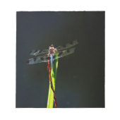 青と黒のトンボが緑と赤の草の上に ノートパッド (正面)