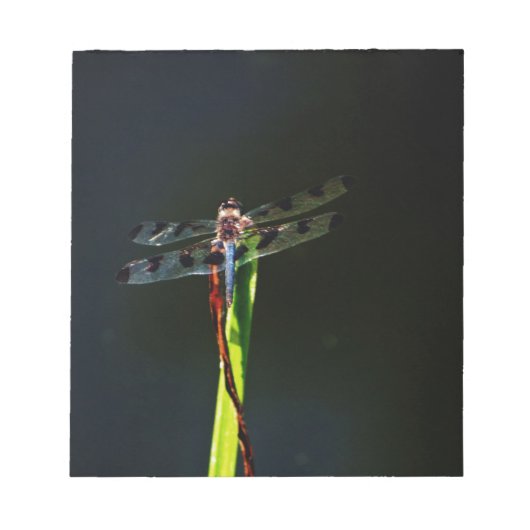 青と黒のトンボが緑と赤の草の上に ノートパッド (正面)