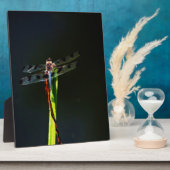 青と黒のトンボが緑と赤の草の上に フォトプラーク (側面)