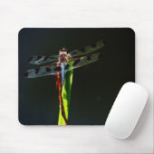 青と黒のトンボが緑と赤の草の上に マウスパッド (マウス)