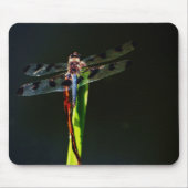 青と黒のトンボが緑と赤の草の上に マウスパッド (正面)