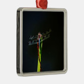 青と黒のトンボが緑と赤の草の上に メタルオーナメント (右)