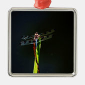 青と黒のトンボが緑と赤の草の上に メタルオーナメント (正面)