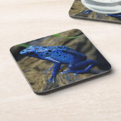 青と黒のポイズンダーツカエル飲料用コースター コースター (左側)