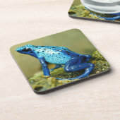 青と黒の毒ダーツカエル コースター (左側)