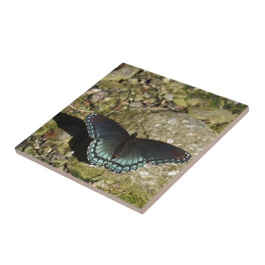 青と黒の蝶 タイル (側面)