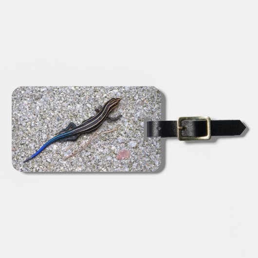 青によって後につかれるSkink ラゲッジタグ (正面横)