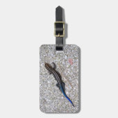 青によって後につかれるSkink ラゲッジタグ (正面縦)