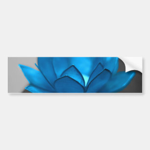 青のはすの花 バンパーステッカー