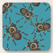 青のタランチュラ コースター (正面)