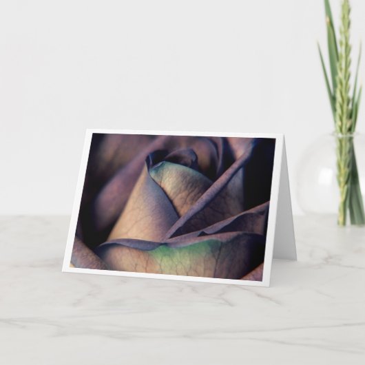 青のバラの終わり カード (正面)