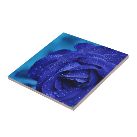 青のバラの花 タイル (側面)