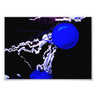 「青の天使」 フォトプリント           