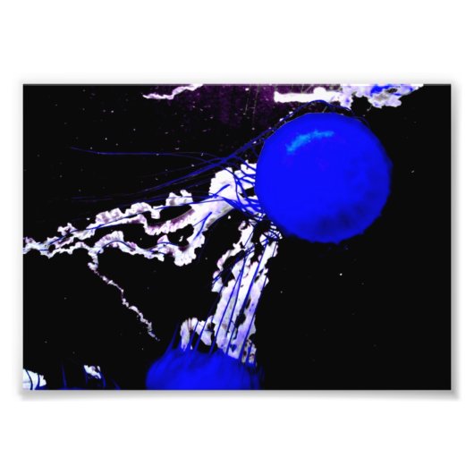 「青の天使」 フォトプリント            (正面)