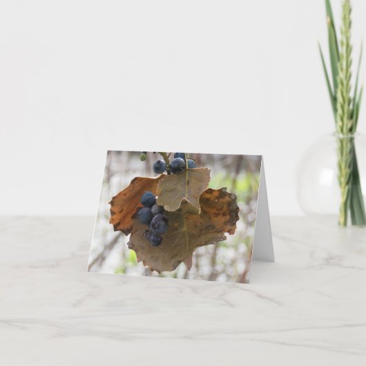 青の葉と葉 – 空白の Greeting Card カード (正面)