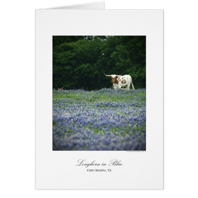 青の長角牛 (正面)