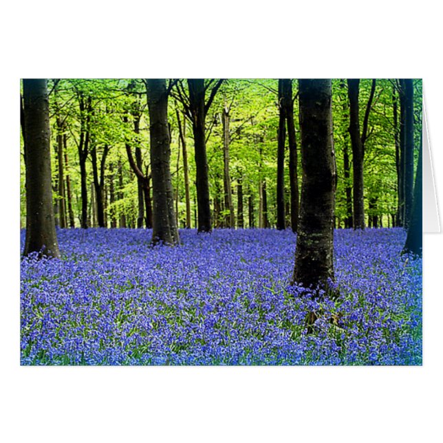 青の霞 (正面横)