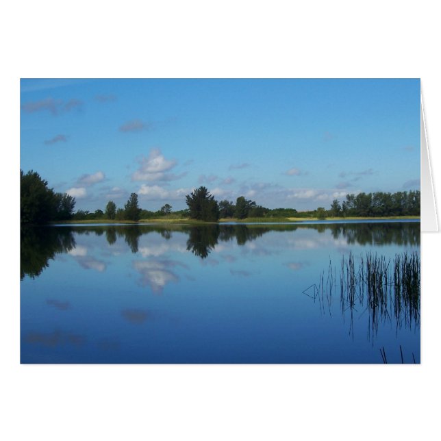 青の青 (正面横)