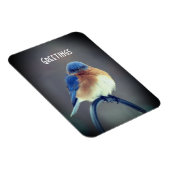 青はっきりした鳥 マグネット (右側)