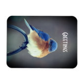 青はっきりした鳥 マグネット (横)