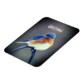 青はっきりした鳥 マグネット (左側)