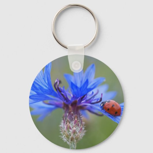 青はつる植物てんとう虫の平和愛運命の芸術の活気付きます キーホルダー (正面)