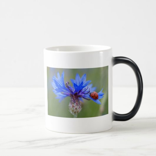 青はつる植物てんとう虫の平和愛運命の芸術の活気付きます モーフィングマグカップ (右)