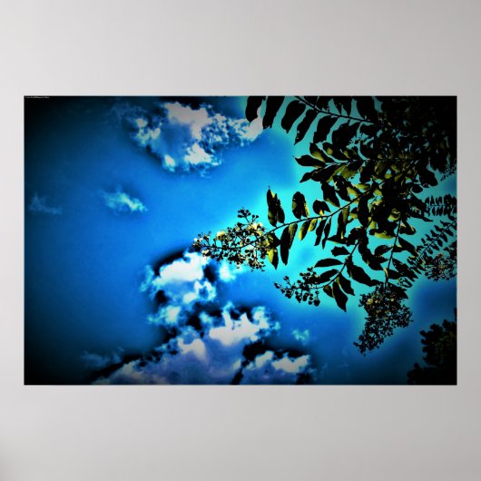 青は緑、 ポスター (正面)