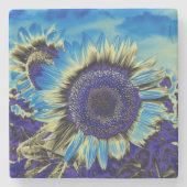 青ひまわり ストーンコースター (正面)