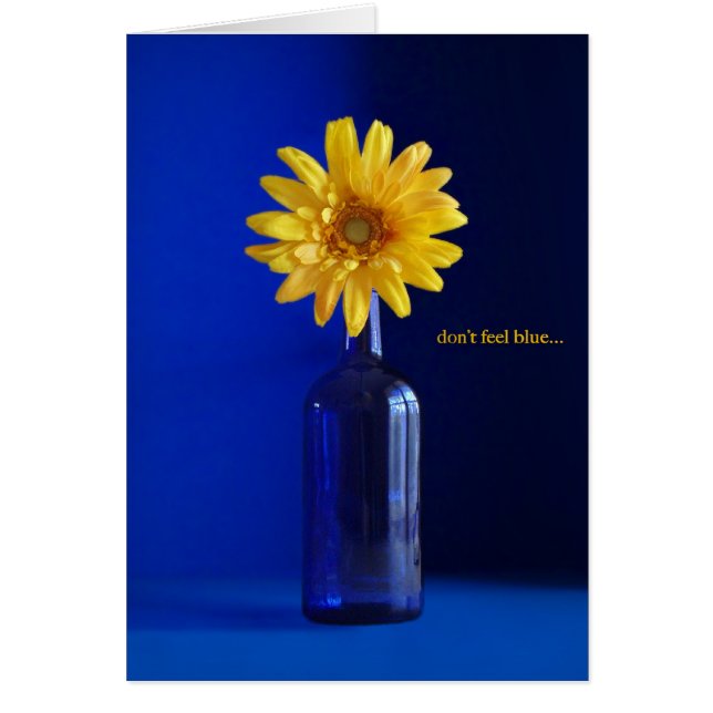 青を…感じないで下さい (正面)