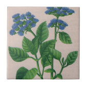 青アゲラト タイル (正面)