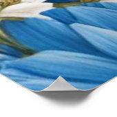 青エレガントと白のあじさい結婚の花 ポスター (角)