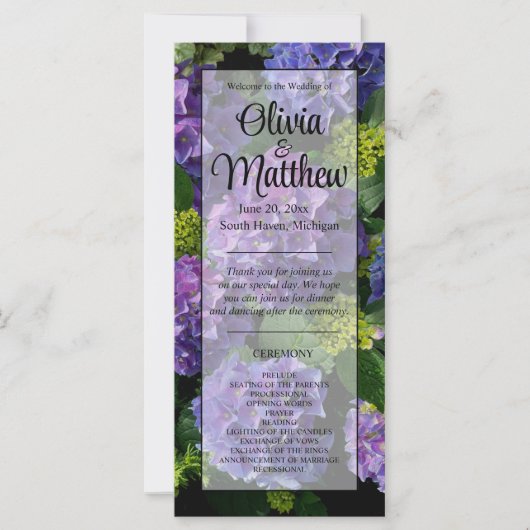 青エレガント紫マゼンタグリーンフローラアジサイ (正面)