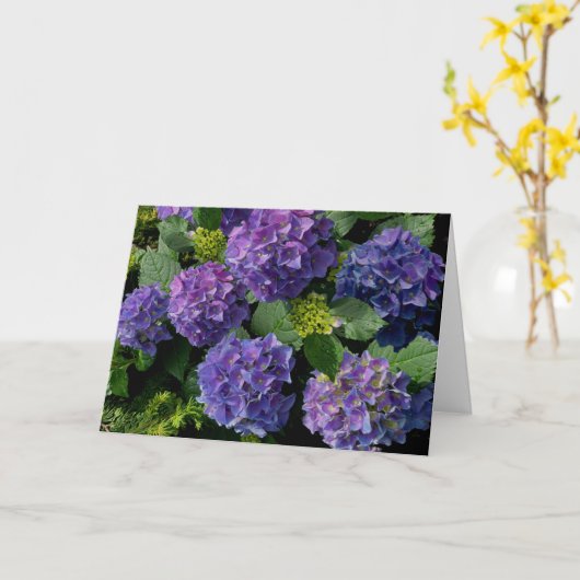 青エレガント紫マゼンタグリーンフローラアジサイ カード (黄色い花)
