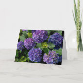 青エレガント紫マゼンタグリーンフローラアジサイ カード (正面)
