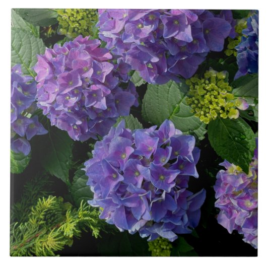 青エレガント紫マゼンタグリーンフローラアジサイ タイル (正面)