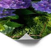 青エレガント紫マゼンタグリーンフローラアジサイ ポスター (角)