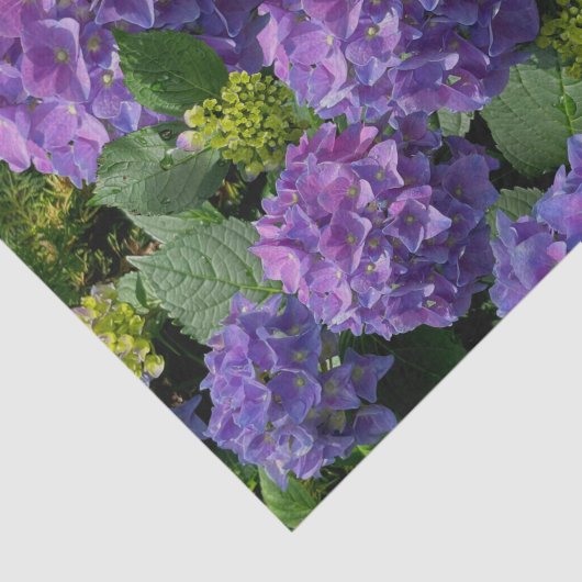 青エレガント紫マゼンタグリーンフローラアジサイ 薄葉紙 (詳細)