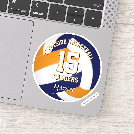 青オレンジのチームカラー バレーボール選手 シール (詳細)