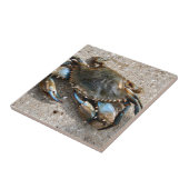 青カニの這うこと タイル (側面)