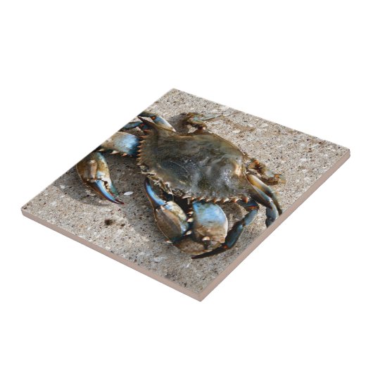 青カニの這うこと タイル (側面)