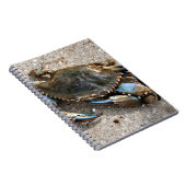 青カニの這うこと ノートブック (右側)