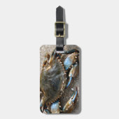 青カニの這うこと ラゲッジタグ (正面縦)