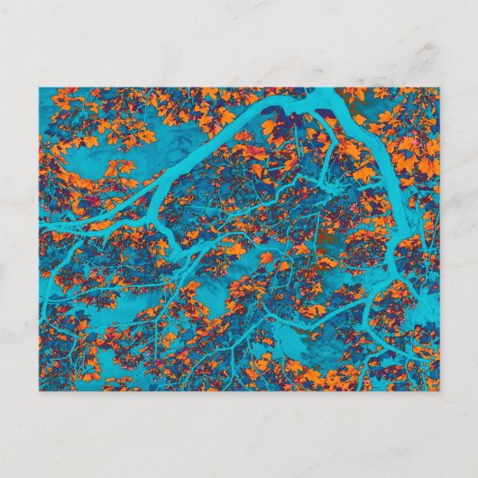 青カラフルとオレンジの木 ポストカード (正面)