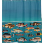 青カラフル海 シャワーカーテン (正面)