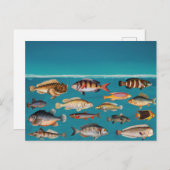 青カラフル海 シーズンポストカード (正面/裏面)