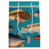 青カラフル海 ミディアムペーパーバッグ (裏面)